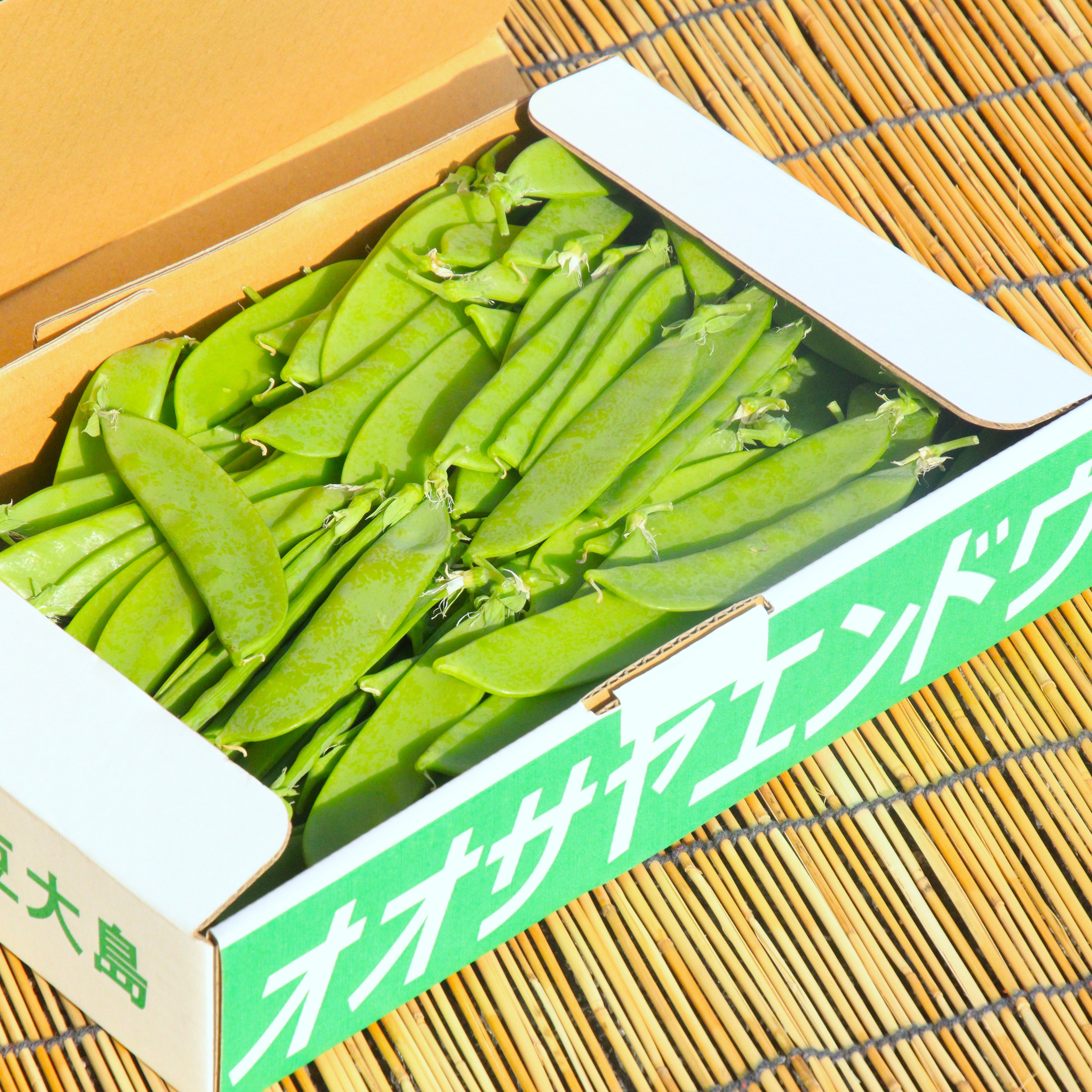 伊豆大島の特産野菜 大さやえんどう